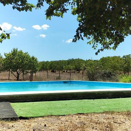 Rod Ranch Livestock - Stanza Doppia Con Letti Singoli Villa Campagnano Di Roma Dış mekan fotoğraf