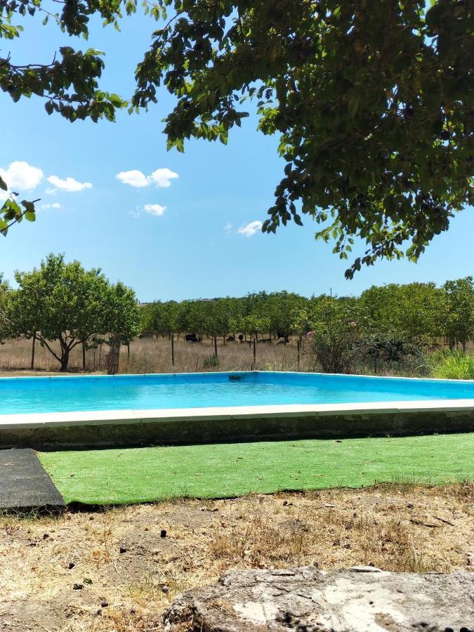 Rod Ranch Livestock - Stanza Doppia Con Letti Singoli Villa Campagnano Di Roma Dış mekan fotoğraf